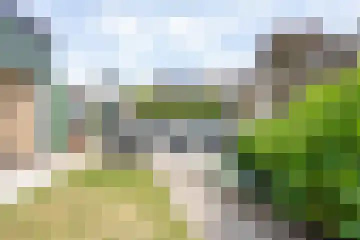 Bellefleurhof 4 Maurik thumbnail 27