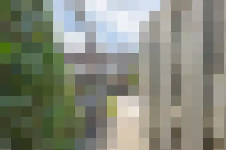 Bellefleurhof 4 Maurik thumbnail 30