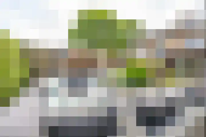 Bellefleurhof 4 Maurik thumbnail 32