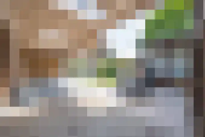 Bellefleurhof 4 Maurik thumbnail 37