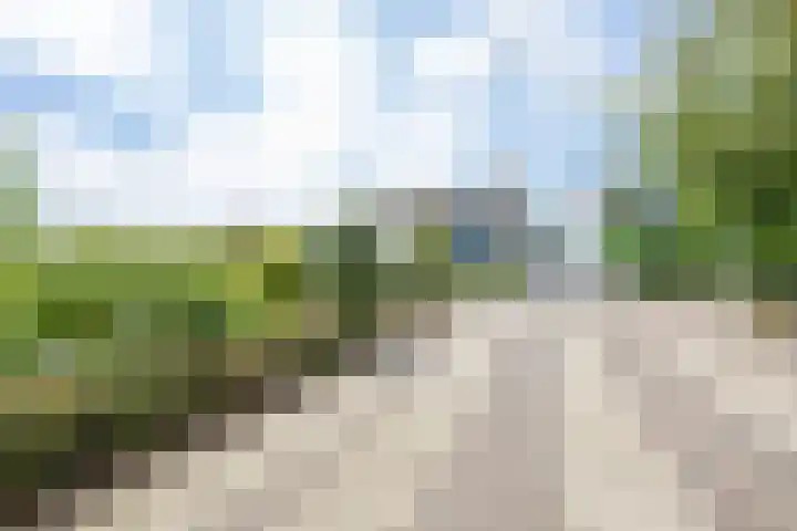 Bellefleurhof 4 Maurik thumbnail 39