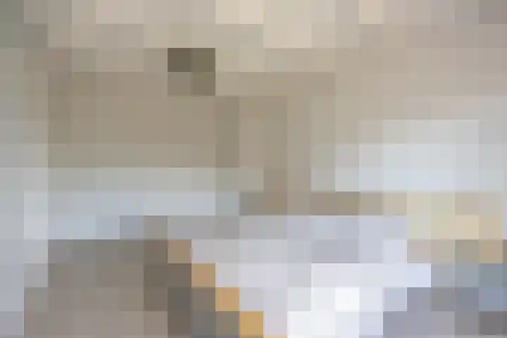 Bellefleurhof 4 Maurik thumbnail 47