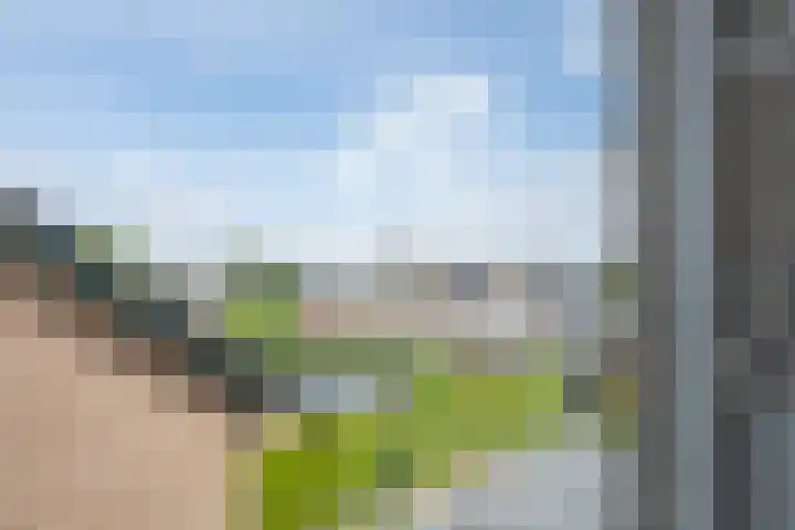 Bellefleurhof 4 Maurik thumbnail 58