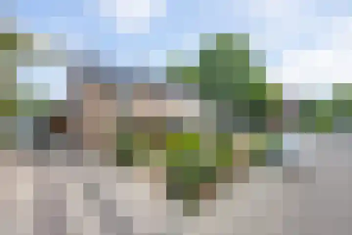 Bellefleurhof 4 Maurik thumbnail 60