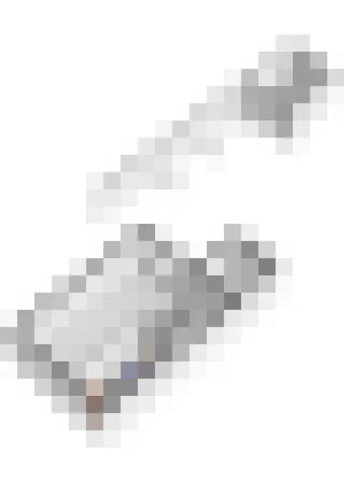 Bellefleurhof 4 Maurik thumbnail 62