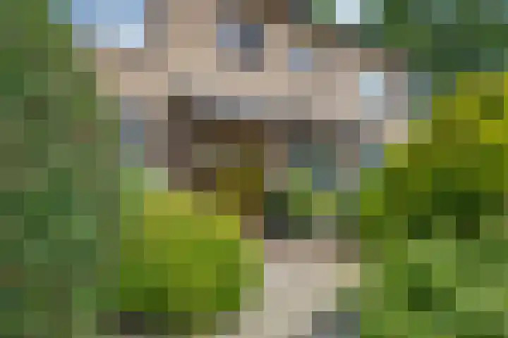 Bellefleurhof 4 Maurik thumbnail 7
