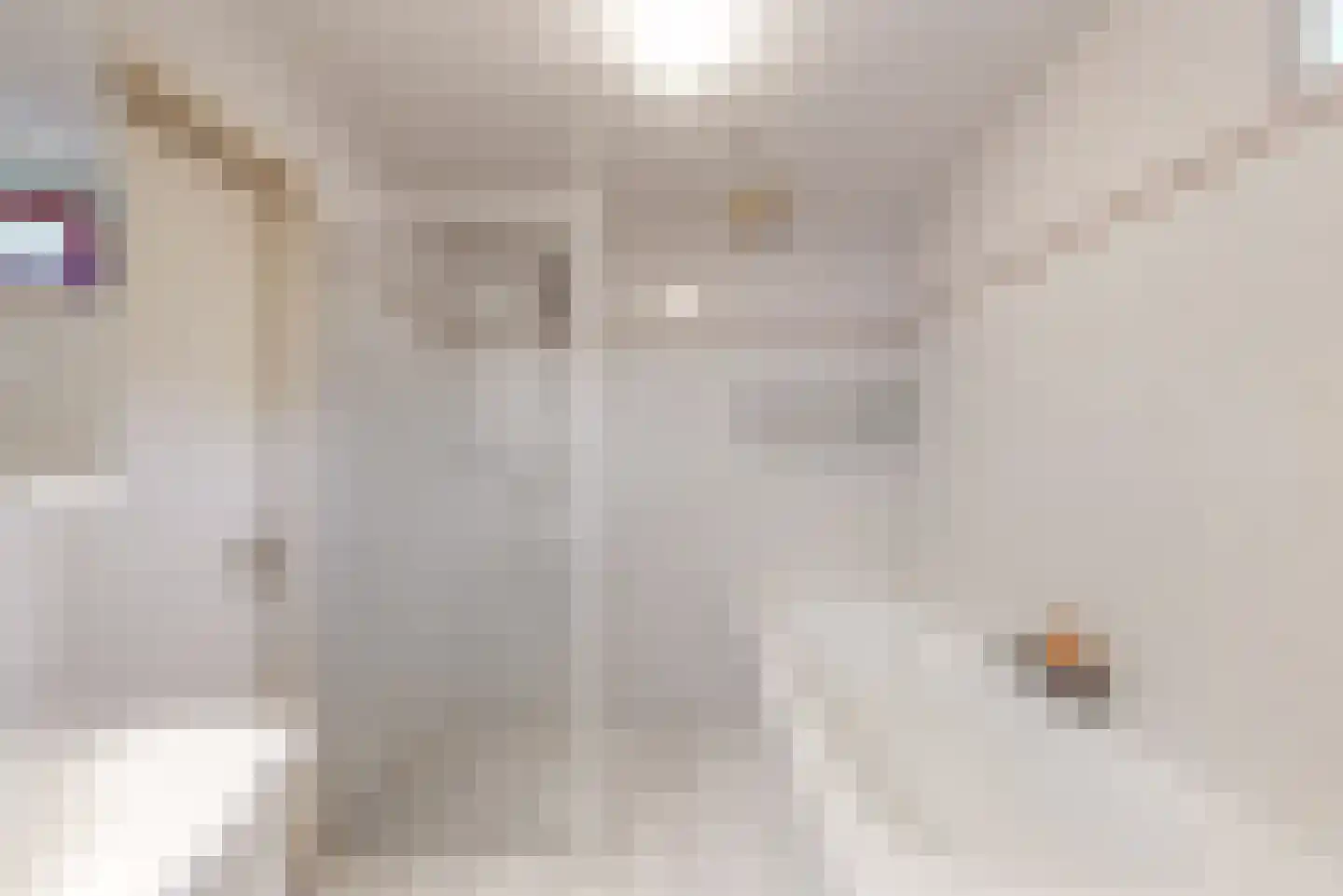 Bellefleurlaan 2 Blokker thumbnail 24