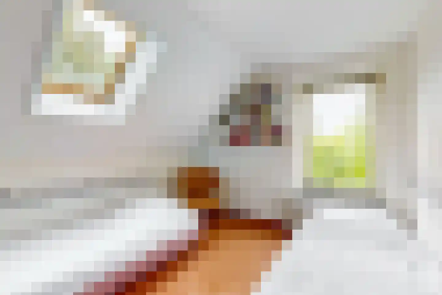 Bellefleurlaan 2 Blokker thumbnail 26
