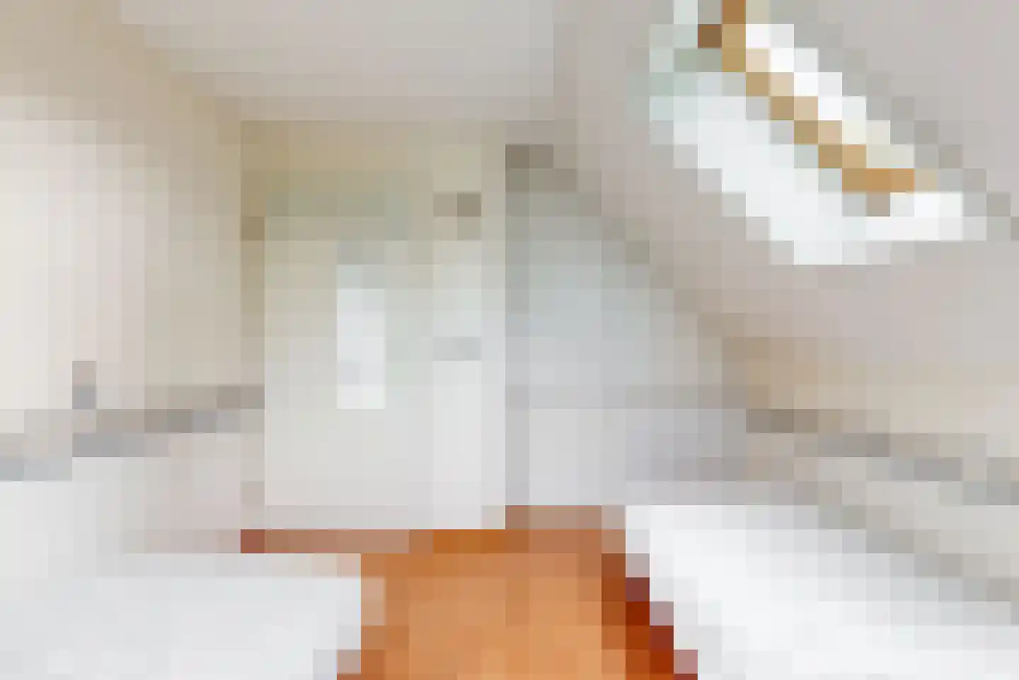 Bellefleurlaan 2 Blokker thumbnail 27