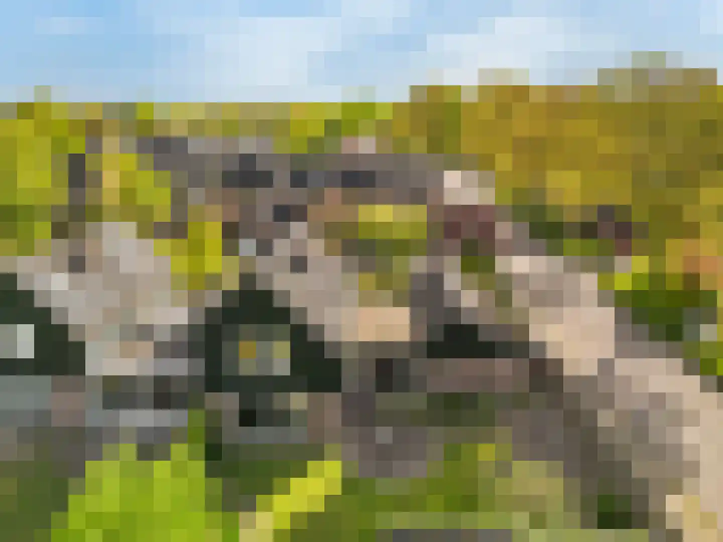 Bellefleurlaan 2 Blokker thumbnail 30