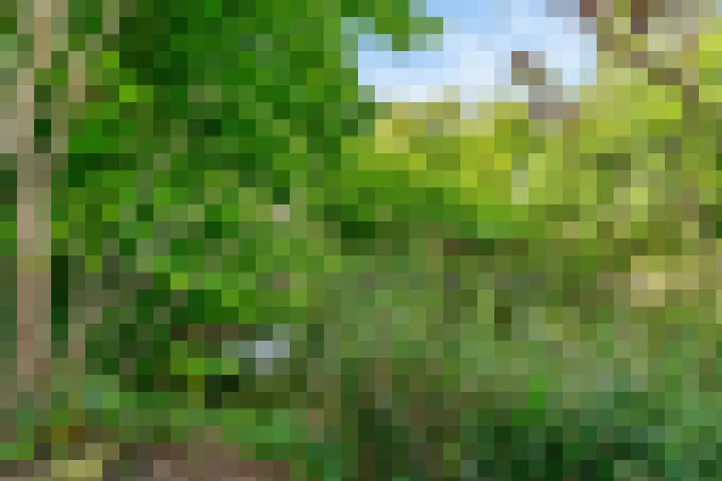 Bellefleurlaan 2 Blokker thumbnail 38
