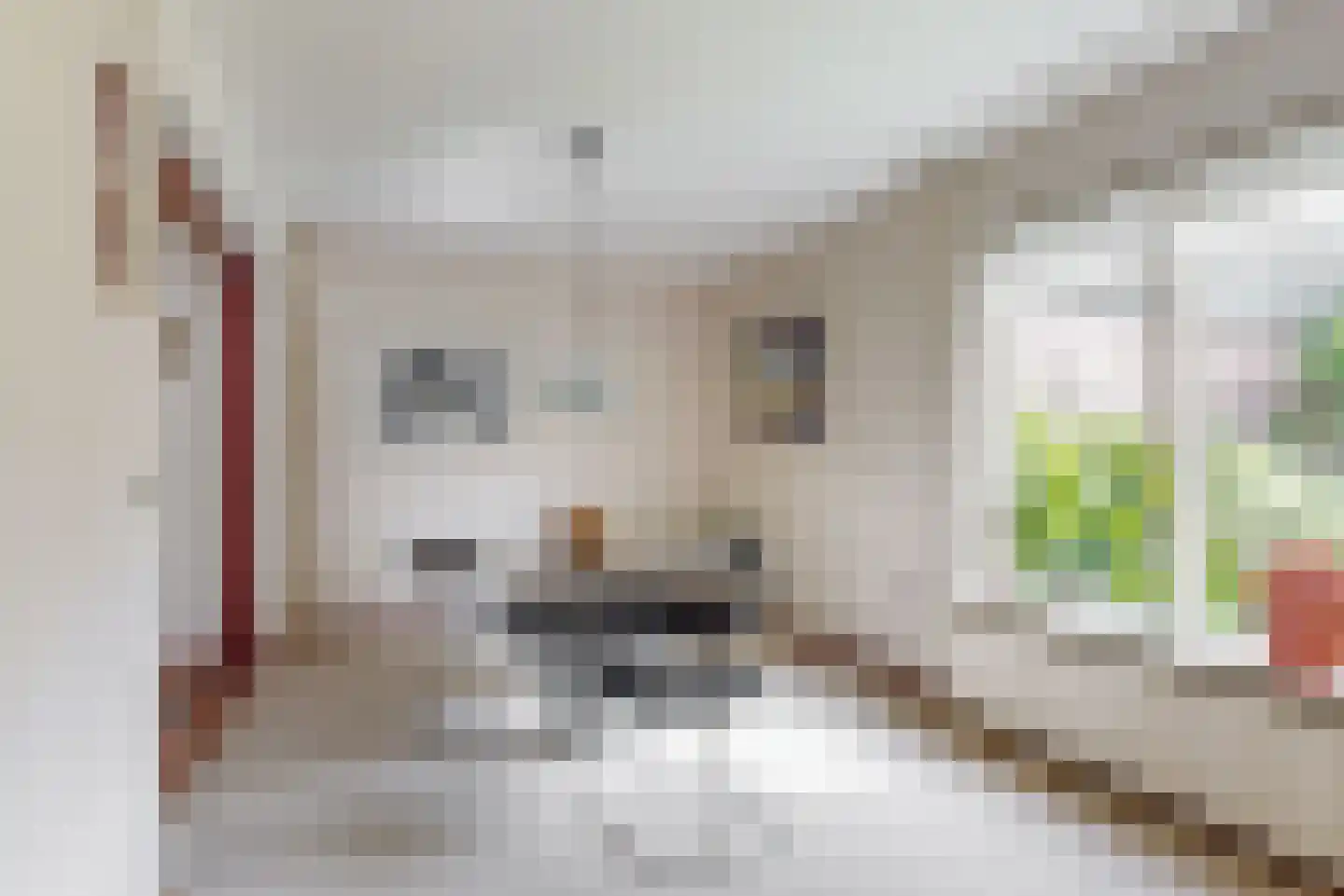 Bellefleurlaan 2 Blokker thumbnail 9