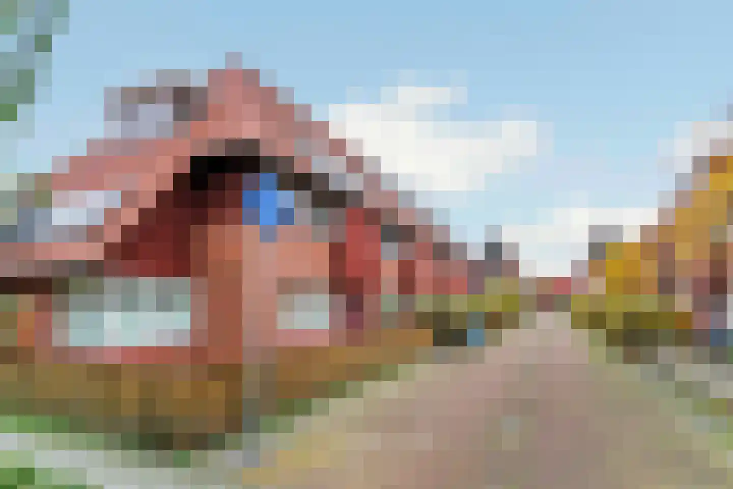 Bellefleurstraat 10 Aalsmeer thumbnail 32