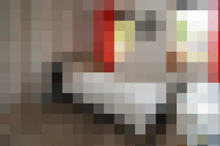 Bellefleurstraat 38 Nijmegen thumbnail 35