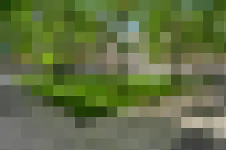 Bellefroidlunet 27 E Maastricht thumbnail 4