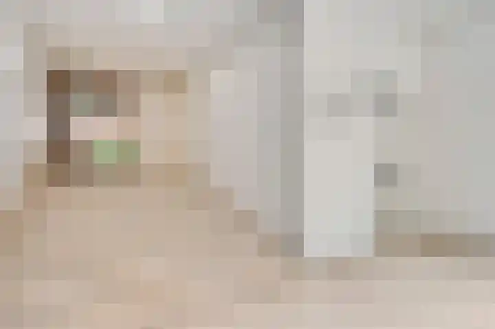 Bellefroidlunet 55 B Maastricht thumbnail 21