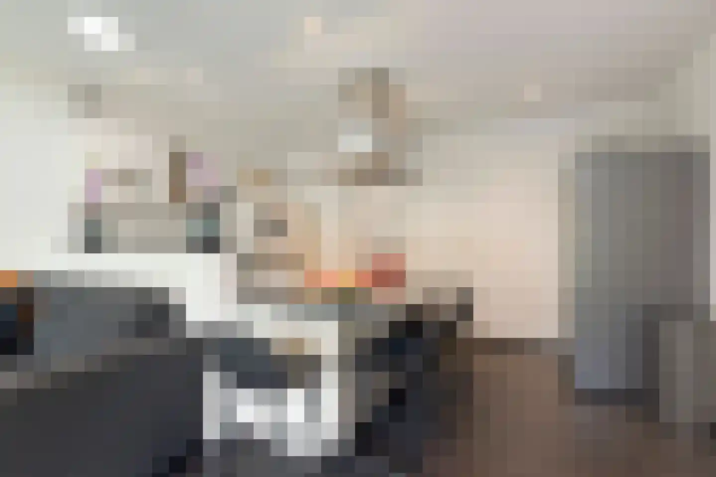 Bellemakersstraat 14 De Rips thumbnail 11