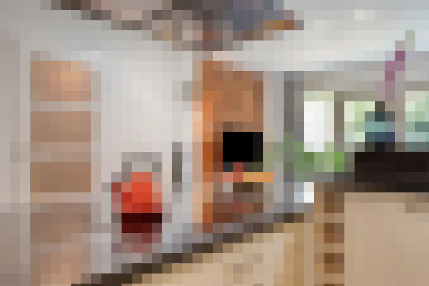 Bellemakersstraat 14 De Rips thumbnail 13