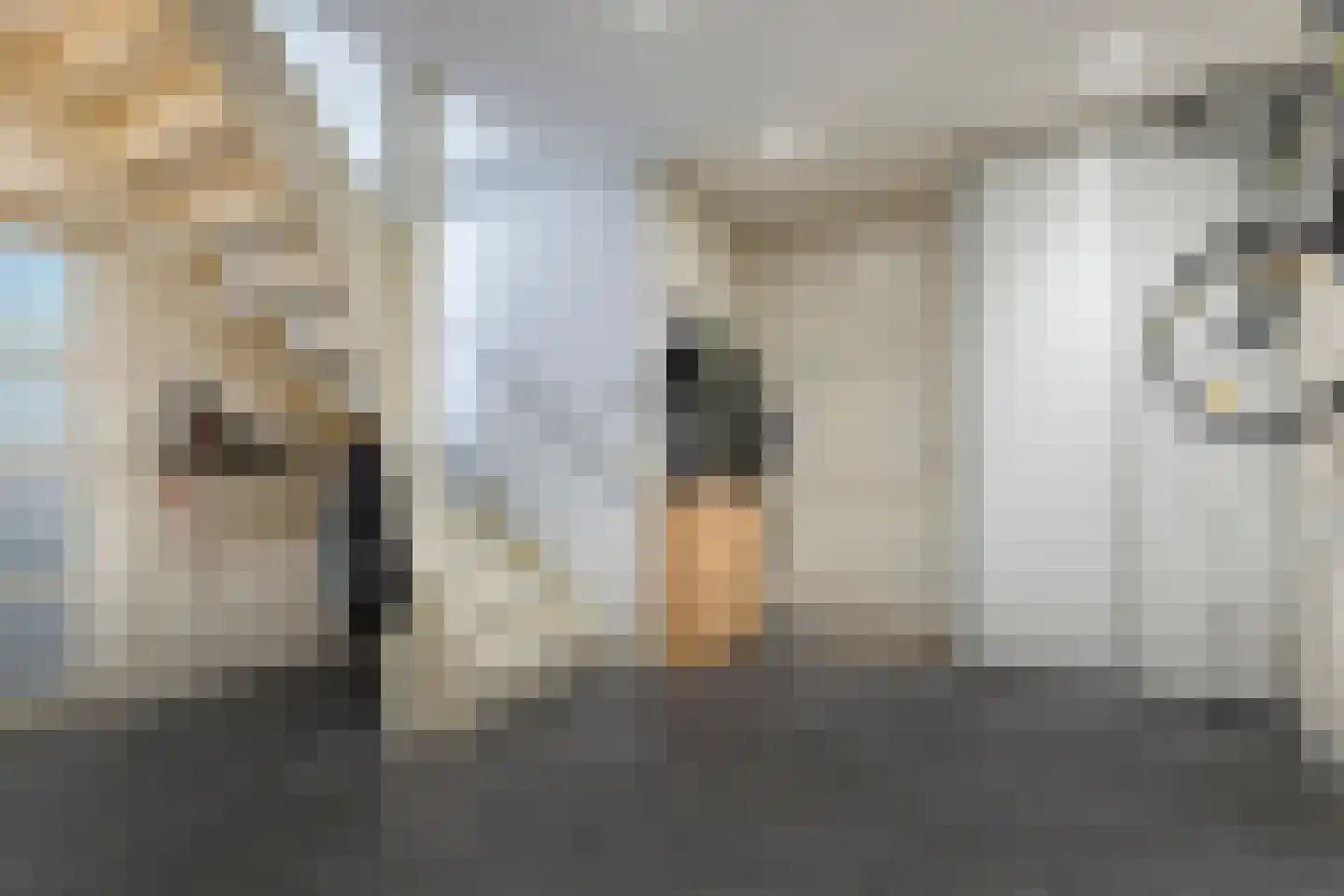 Bellemakersstraat 14 De Rips thumbnail 17