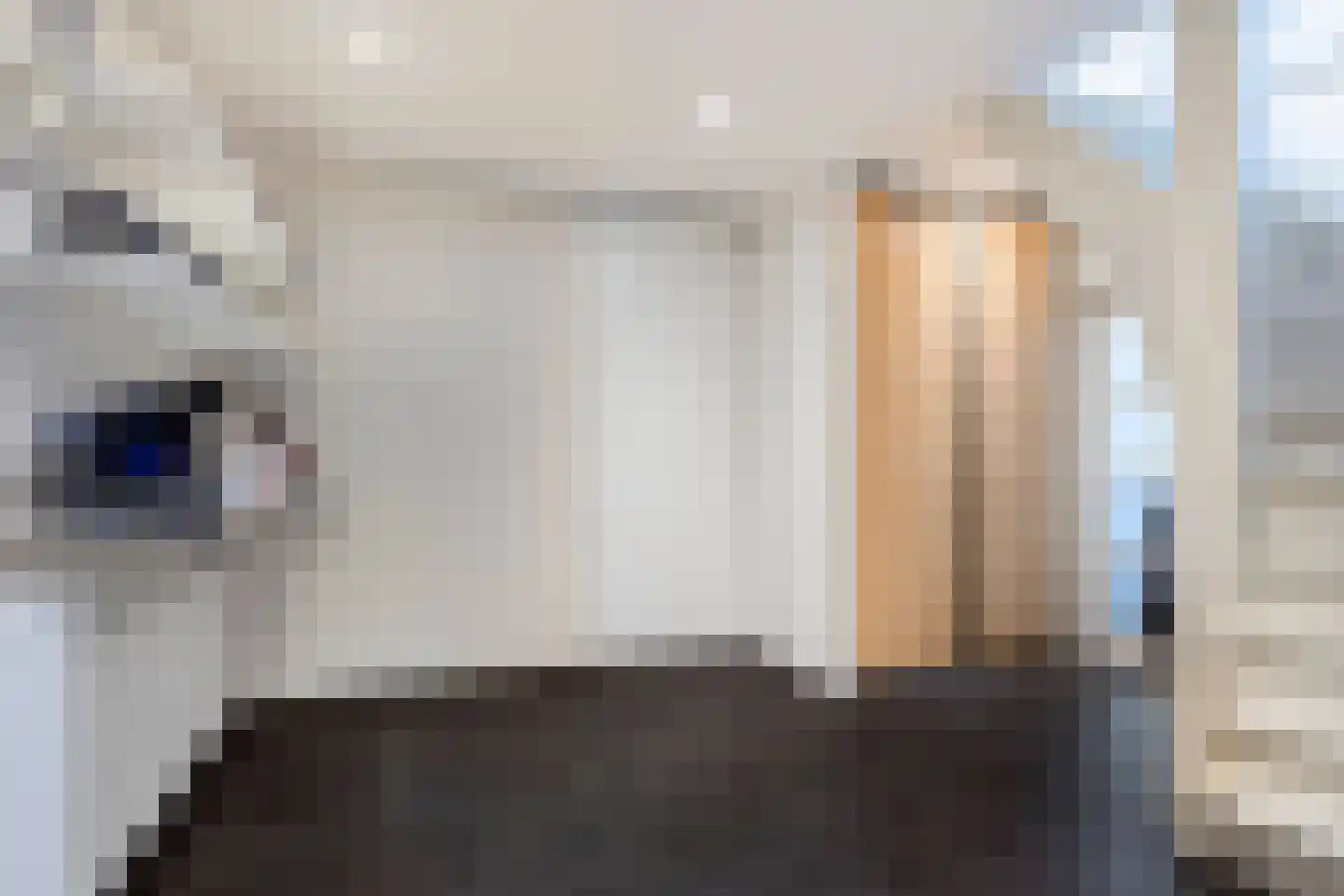 Bellemakersstraat 14 De Rips thumbnail 18