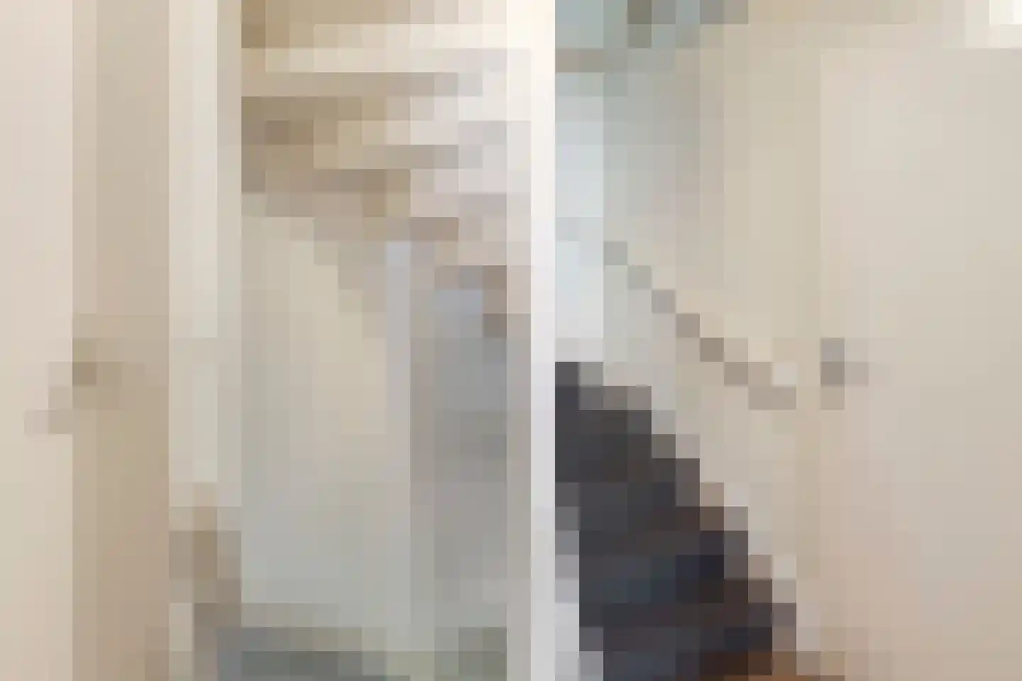 Bellemakersstraat 14 De Rips thumbnail 22