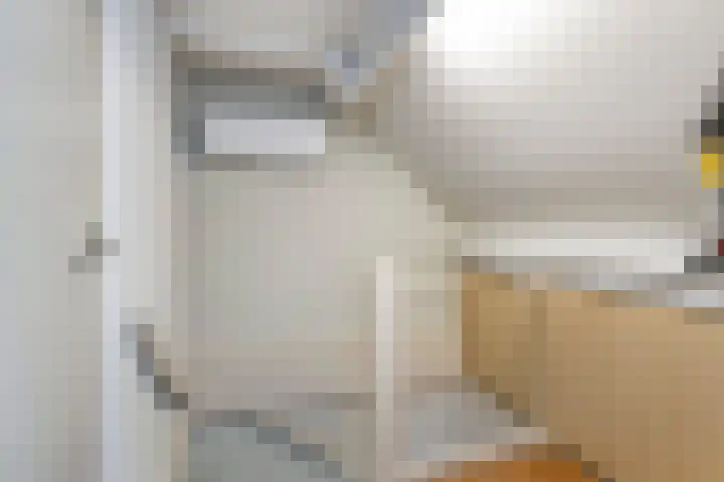 Bellemakersstraat 14 De Rips thumbnail 30
