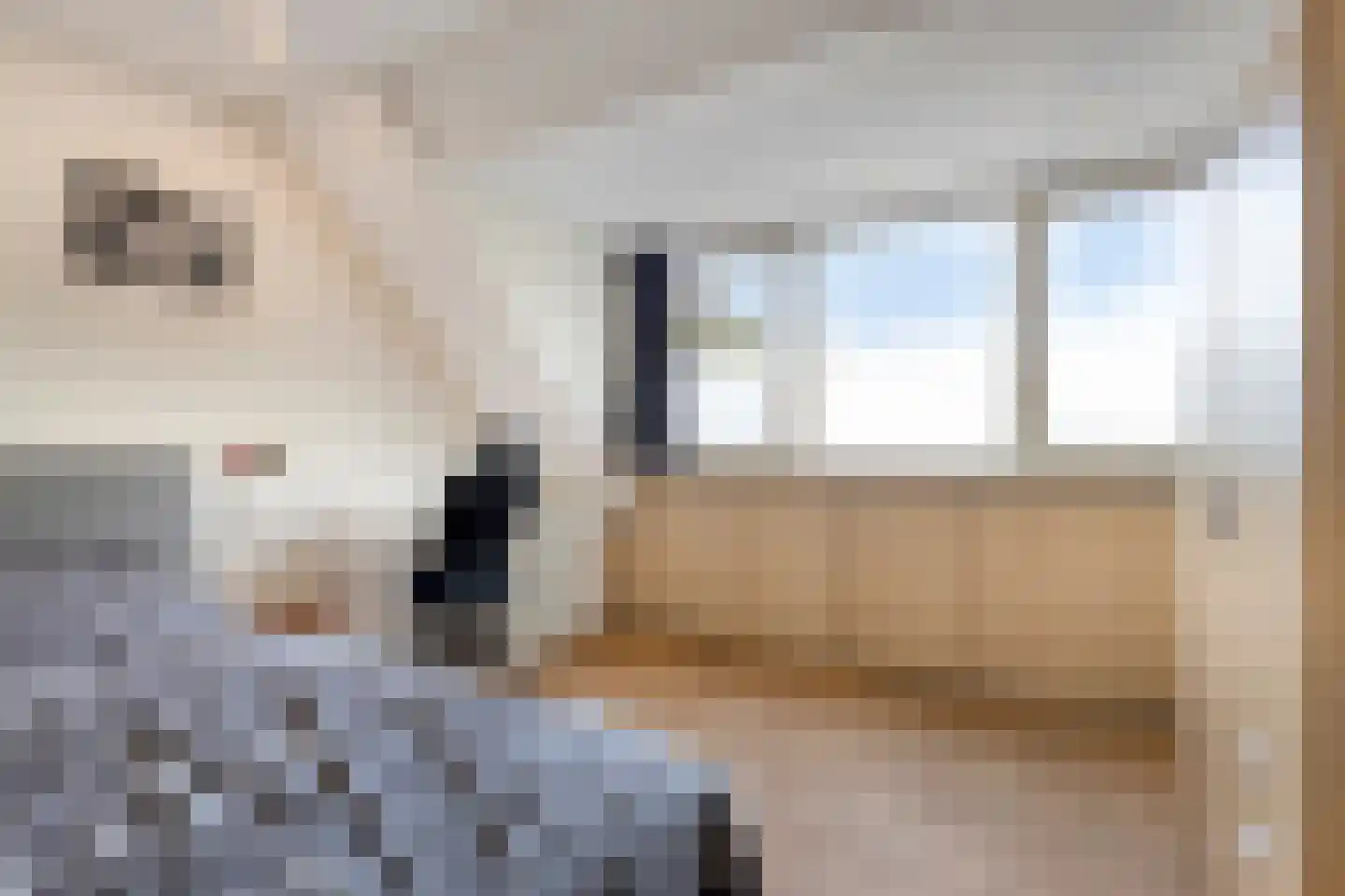 Bellemakersstraat 14 De Rips thumbnail 31