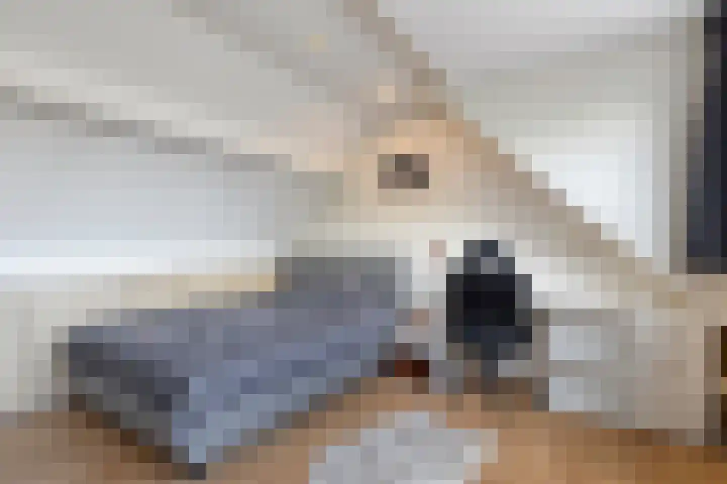Bellemakersstraat 14 De Rips thumbnail 32