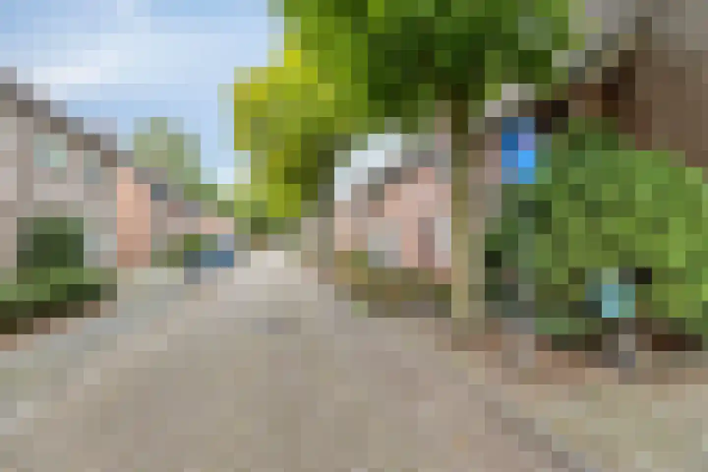 Bellemakersstraat 14 De Rips thumbnail 42