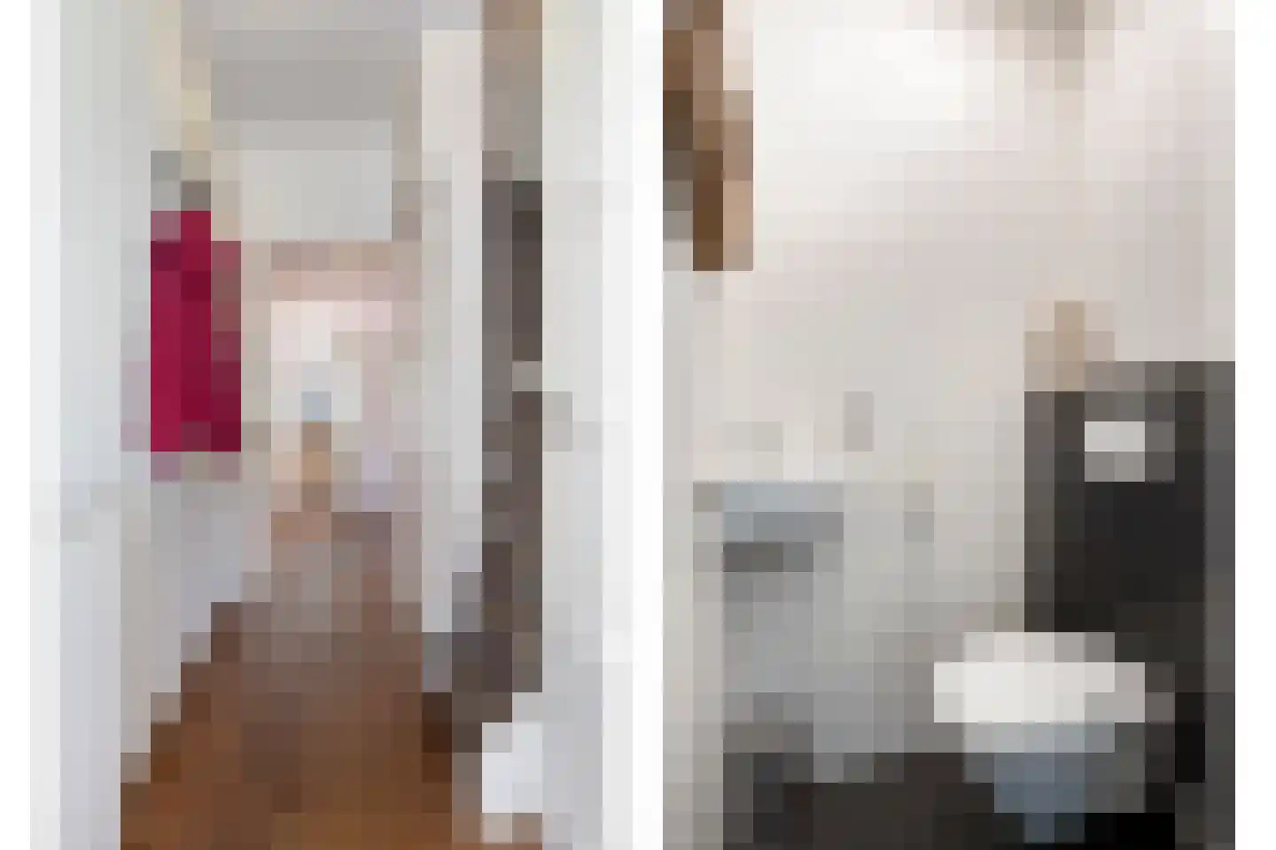 Bellemakersstraat 14 De Rips thumbnail 6