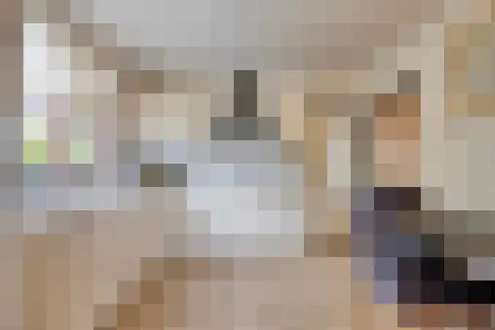 Bellendreef 4 Etten-Leur thumbnail 12