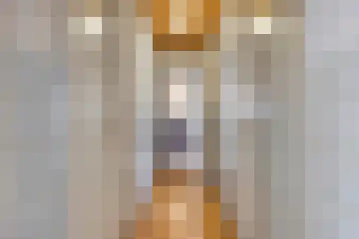 Bellendreef 4 Etten-Leur thumbnail 18