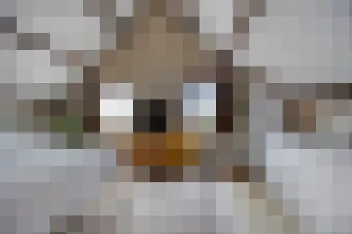 Bellendreef 4 Etten-Leur thumbnail 25