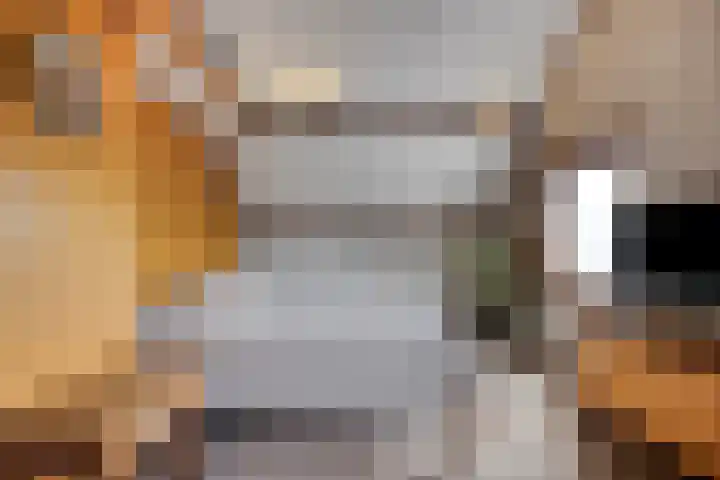 Bellendreef 4 Etten-Leur thumbnail 27