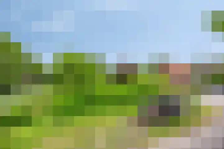 Bellendreef 4 Etten-Leur thumbnail 31