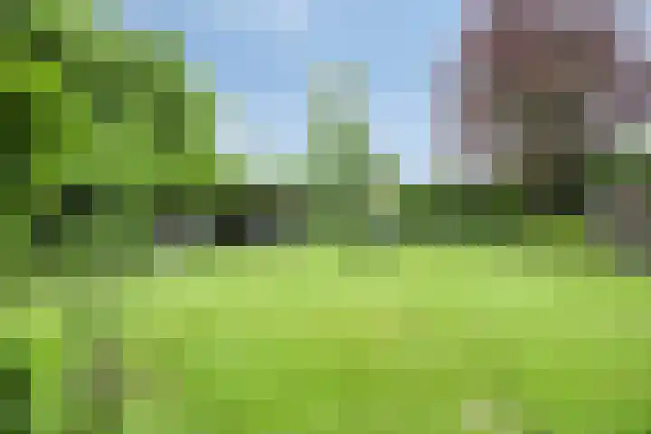 Bellendreef 4 Etten-Leur thumbnail 32