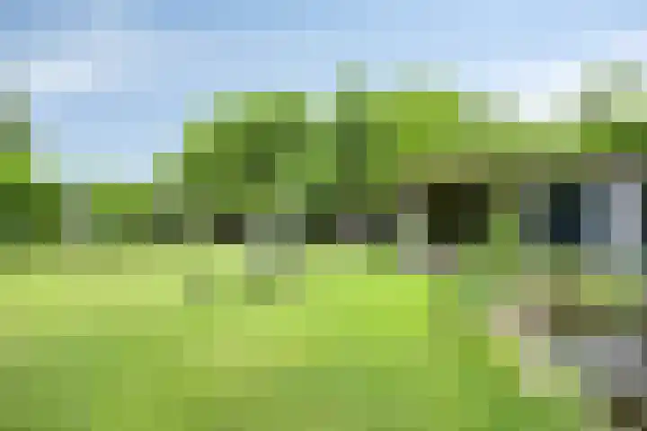 Bellendreef 4 Etten-Leur thumbnail 33