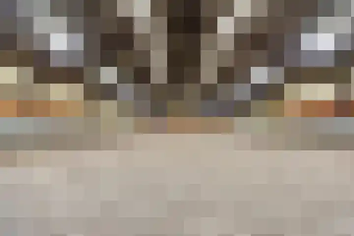 Bellendreef 4 Etten-Leur thumbnail 34