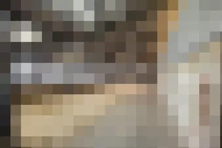 Bellendreef 4 Etten-Leur thumbnail 41