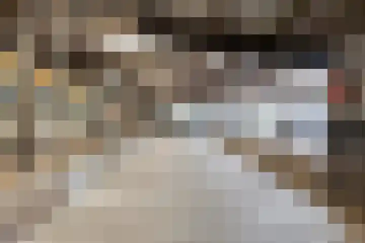Bellendreef 4 Etten-Leur thumbnail 43