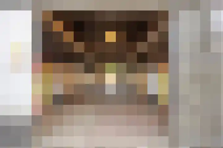 Bellendreef 4 Etten-Leur thumbnail 44