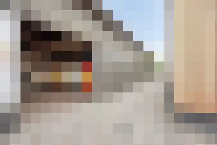 Bellendreef 4 Etten-Leur thumbnail 46