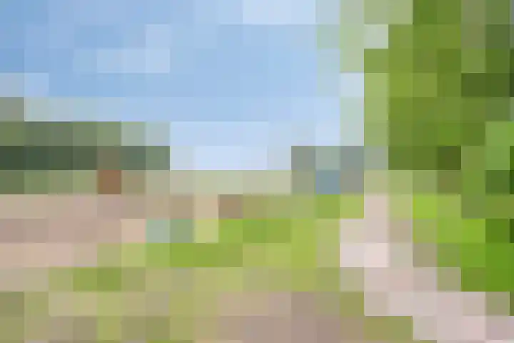 Bellendreef 4 Etten-Leur thumbnail 57