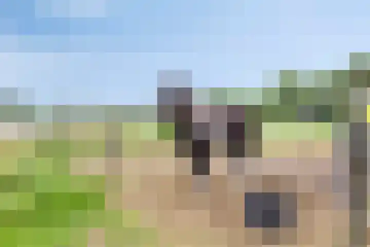 Bellendreef 4 Etten-Leur thumbnail 58