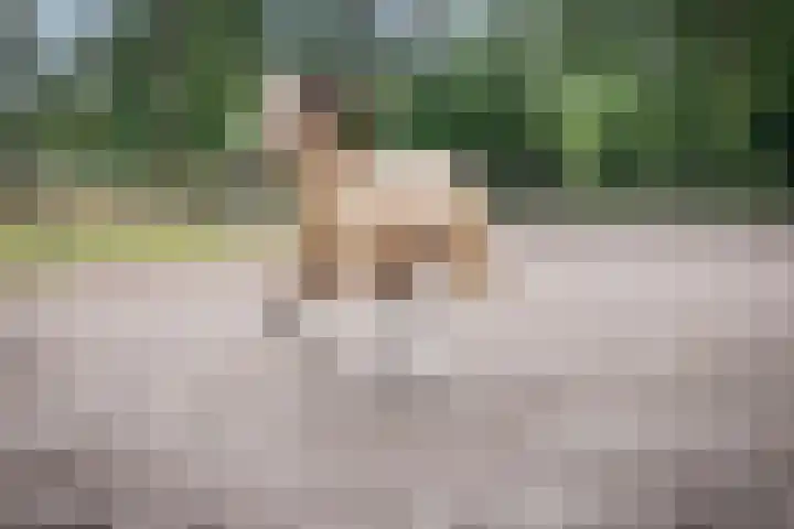 Bellendreef 4 Etten-Leur thumbnail 59