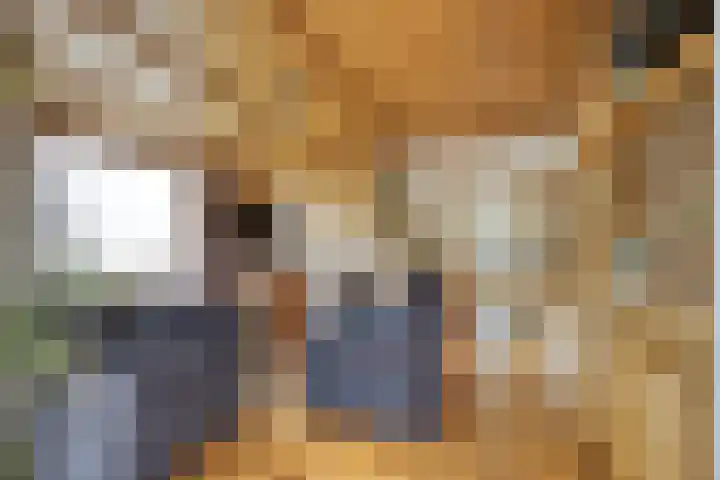 Bellendreef 4 Etten-Leur thumbnail 8