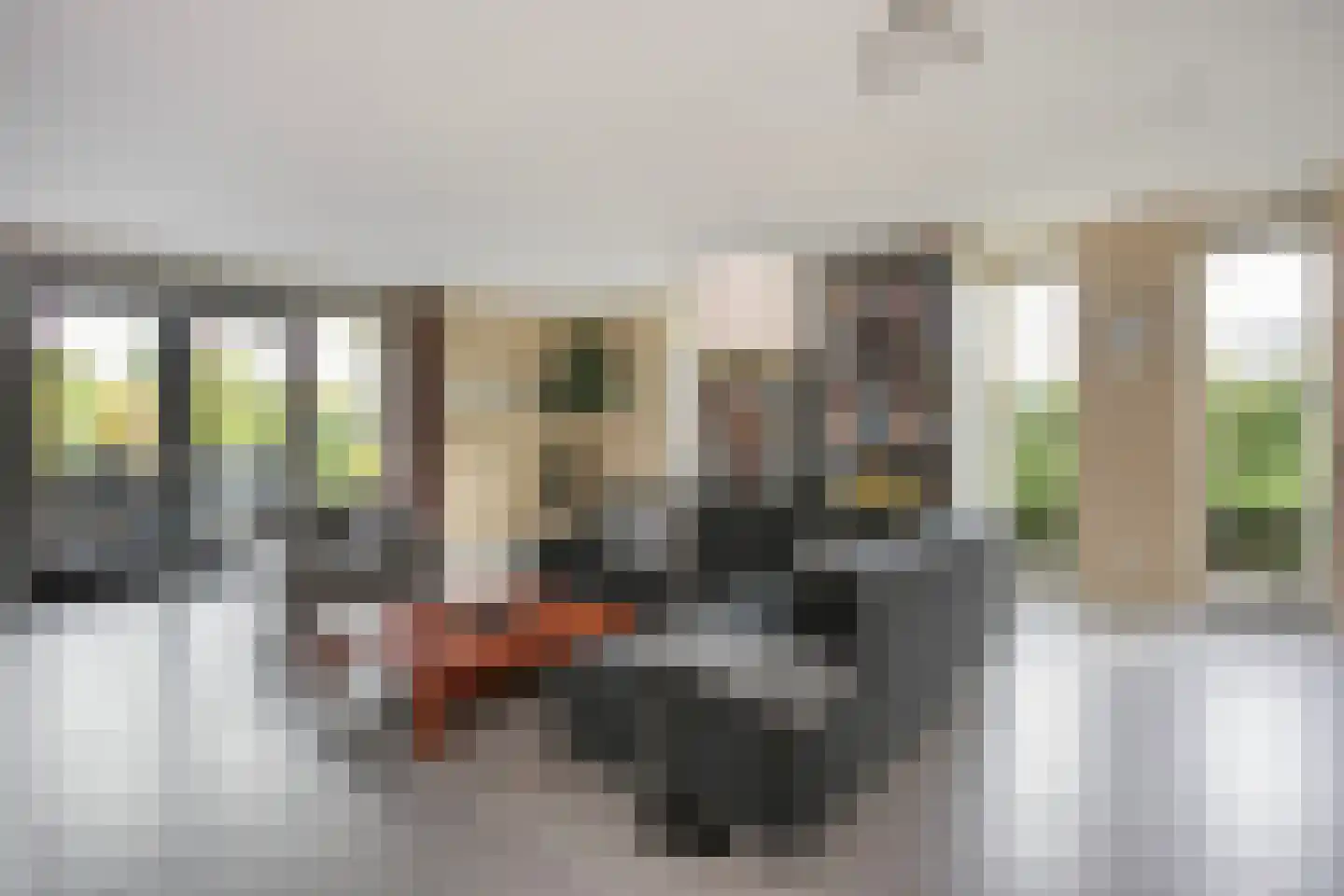 Belleperenlaan 1 Vleuten thumbnail 12