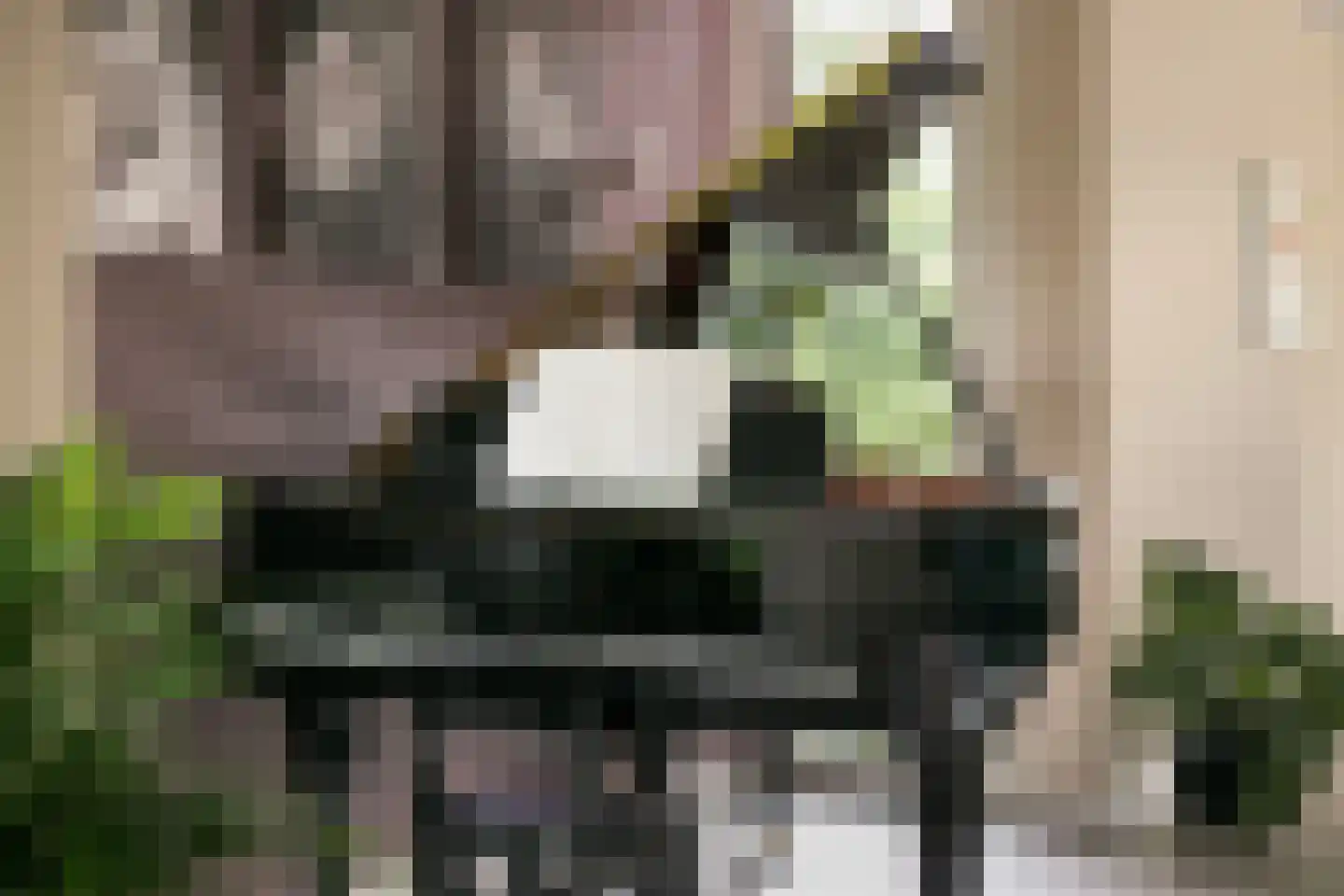 Belleperenlaan 1 Vleuten thumbnail 17