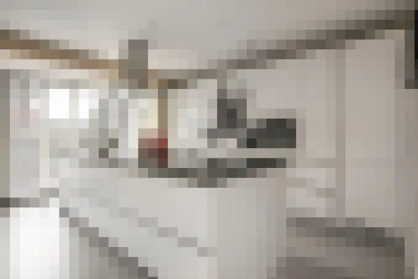 Belleperenlaan 1 Vleuten thumbnail 19
