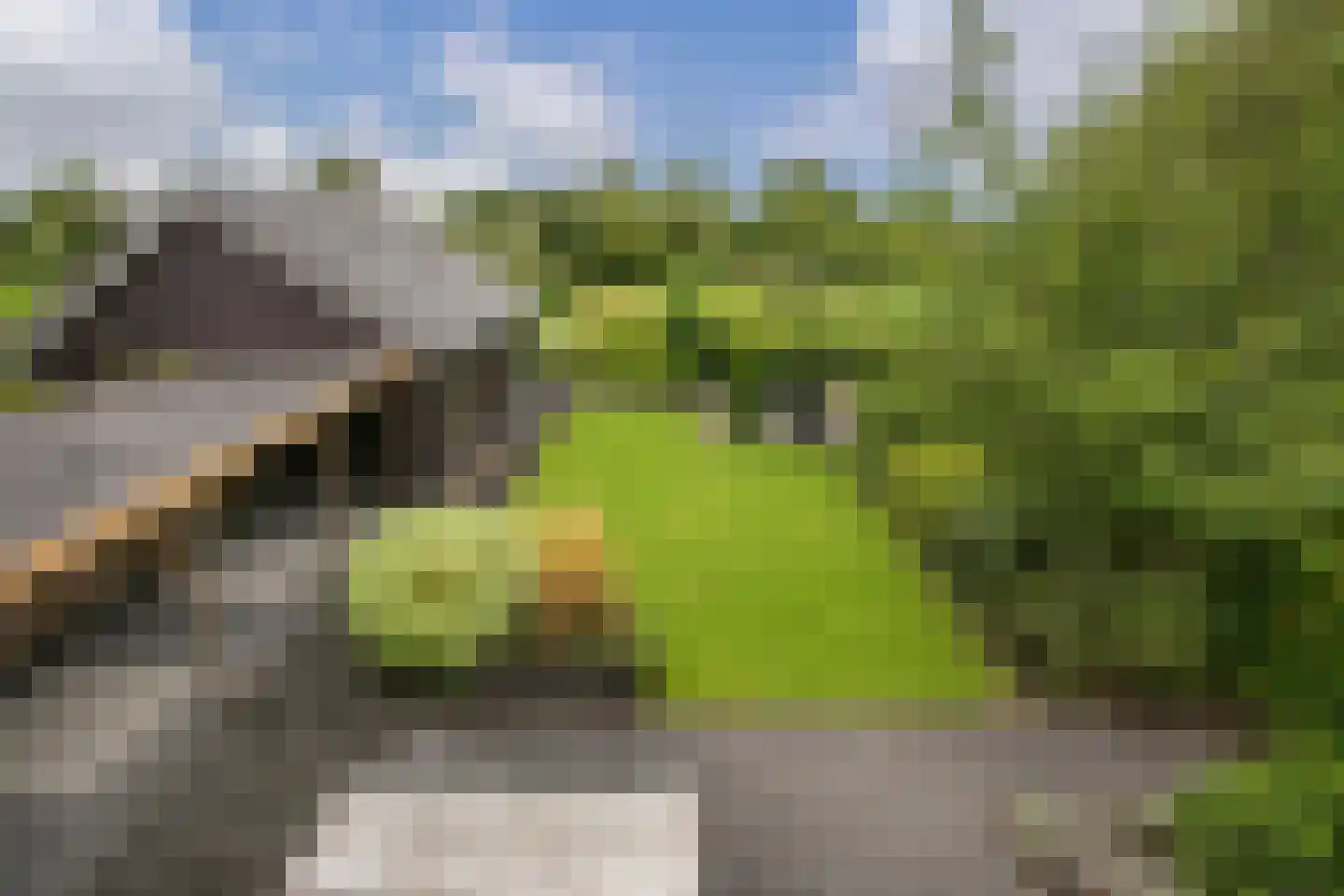 Belleperenlaan 1 Vleuten thumbnail 32